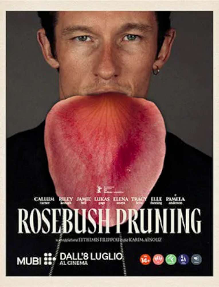 Rosebush Pruning